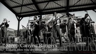 Clear Mountain View Music Festival II Steep Canyon Rangers Camellia