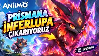 PRİSMANA İNFERLUPA ÇIKARIYORUZ - ANİİMO