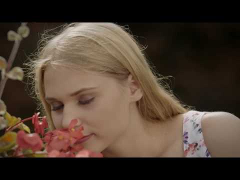 Ans. Gas - Marjetica