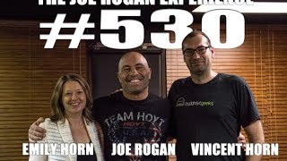 Joe Rogan Experience #530 - Vince & Emily Horn, from Buddhist Geeks