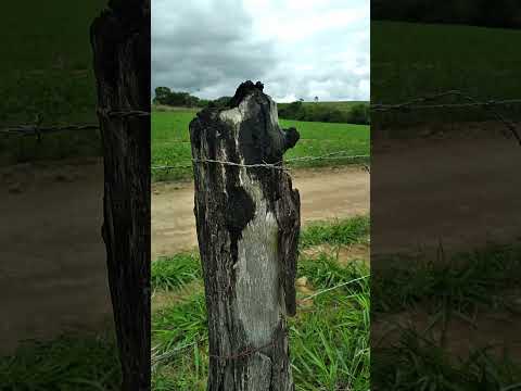 No município de Água de Fria de Goiás-GO!  Rancho Sol Nascente