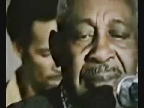 The very real Blues: Arthur Crudup & Sons