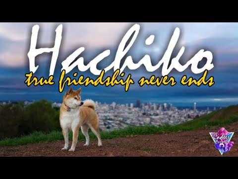 film sa prevodom HACHIKO* zasnovan na istinitom događaju