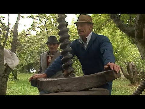 Añihué, la Isla del tiempo detenido