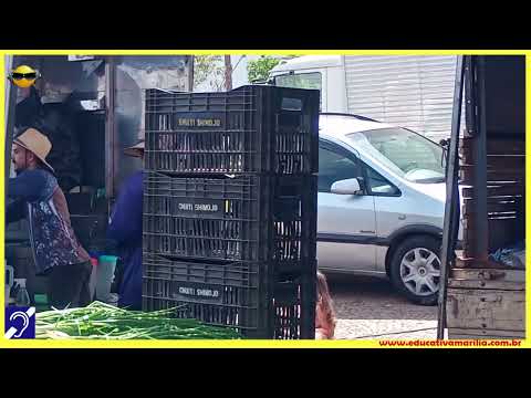 Tv Educativa passeia pela Feira Municipal da Avenida Sampaio Vidal de Marília SP 25 Agosto de 2.025