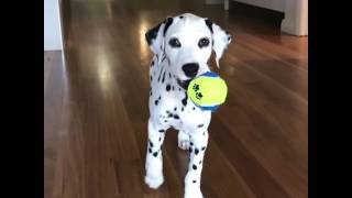 I like to creep up on mummy