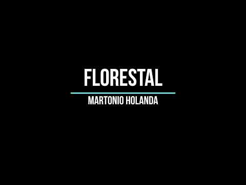 Florestal - Martonio Holanda
