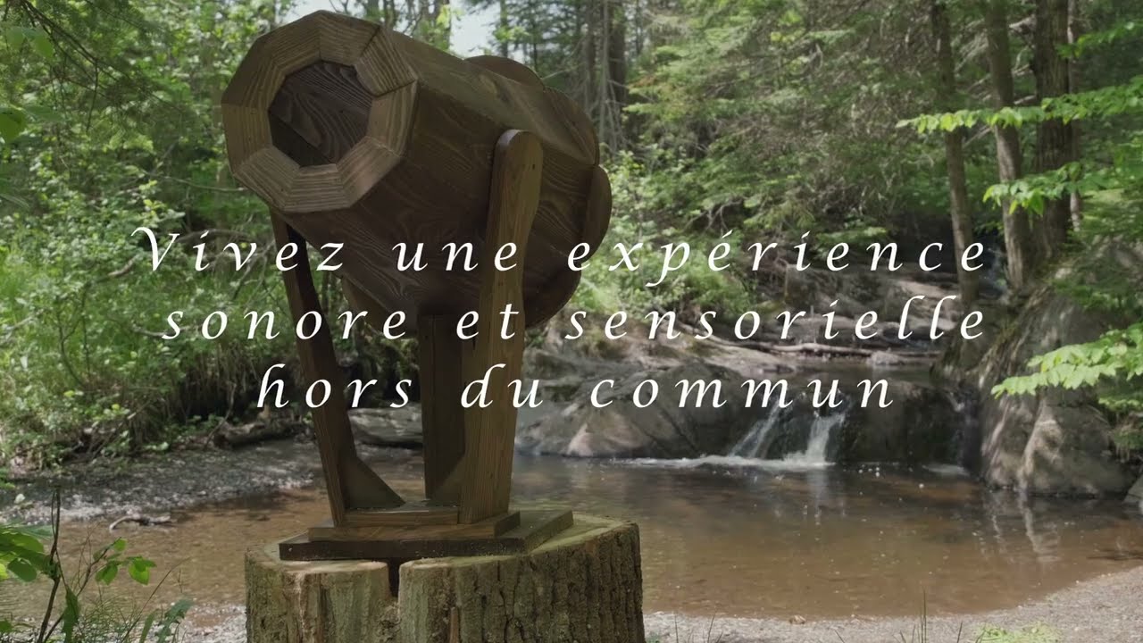 Promotional videos thumbnail