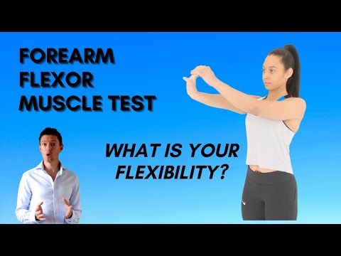 Forearm Flexor Muscle - Test Your flexibility...