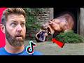 Wildlife Expert Reacts To TikTok S Worst Animal Attacks