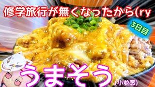 修学旅行が無くなったから18きっぷ使って関西に行ったったwww【3日目】