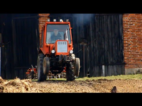 Uprawa i Siew Jęczmienia 2020 z T-25 !  /Głuchów Team