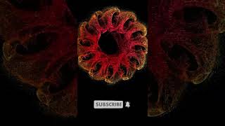 Download lagu Particles swirl #houdini #motiongraphics #animation #3danimation #youtubeshort #sidefx mp3 Download lagu Particles swirl #houdini #motiongraphics #animation #3danimation #youtubeshort #sidefx mp3