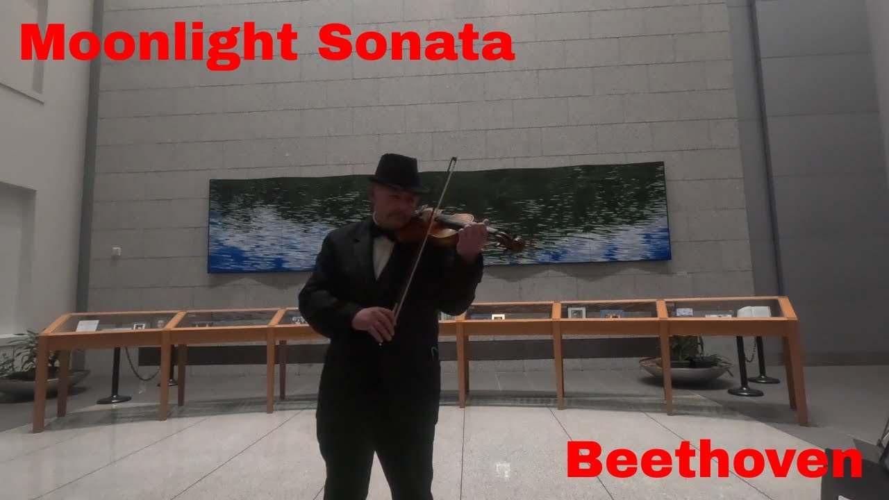 Promotional video thumbnail 18 for The Strolling Violinist