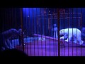 EISBÄREN IM CIRCUS RONCALLI ZIPPO FRIENDS FEAT ELIANA PAUL