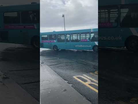 Bus spotting and riding!