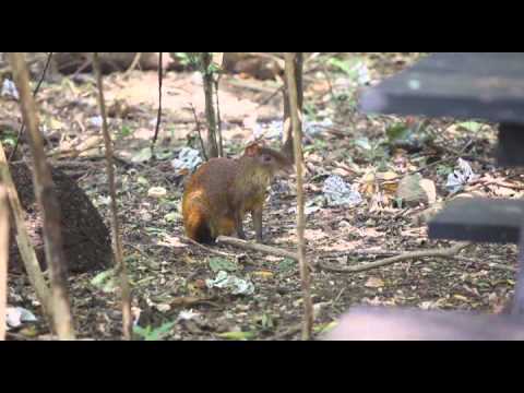 Se quema el cielo "Película"