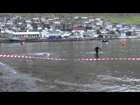 FS havsvimjing 13 sep 2014 børn