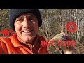 Communicating With Bigfoot Sasquatch New Important Tree Knocking Information Revealed Communicating With Bigfoot Sasquatch New Important Tree Knocking Information Revealed