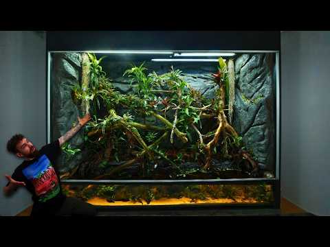 I Built 900 Gallon Multi Species Paludarium