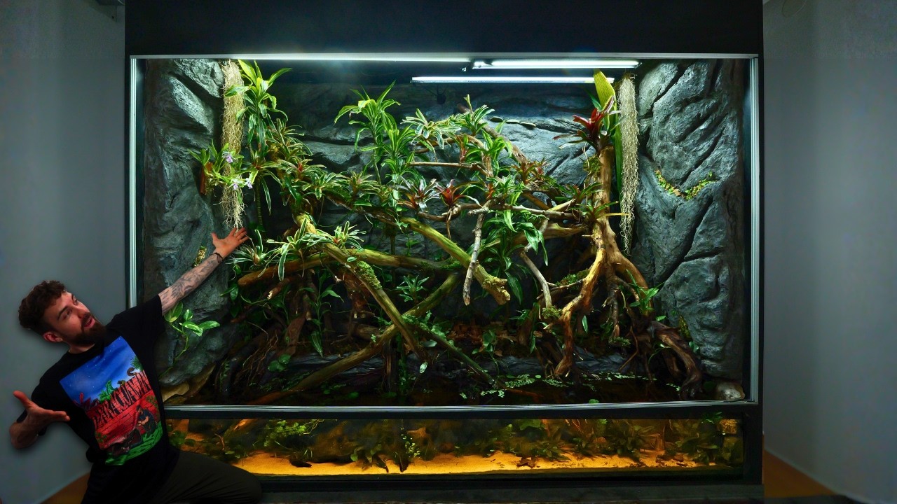 I Built 900 Gallon Multi Species Paludarium
