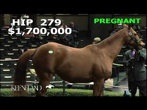 2012 November Breeding Stock Sale - Hip 279, Pure Clan