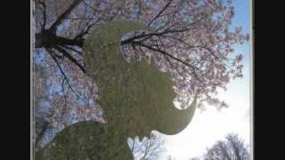 jamiroquai butterfly