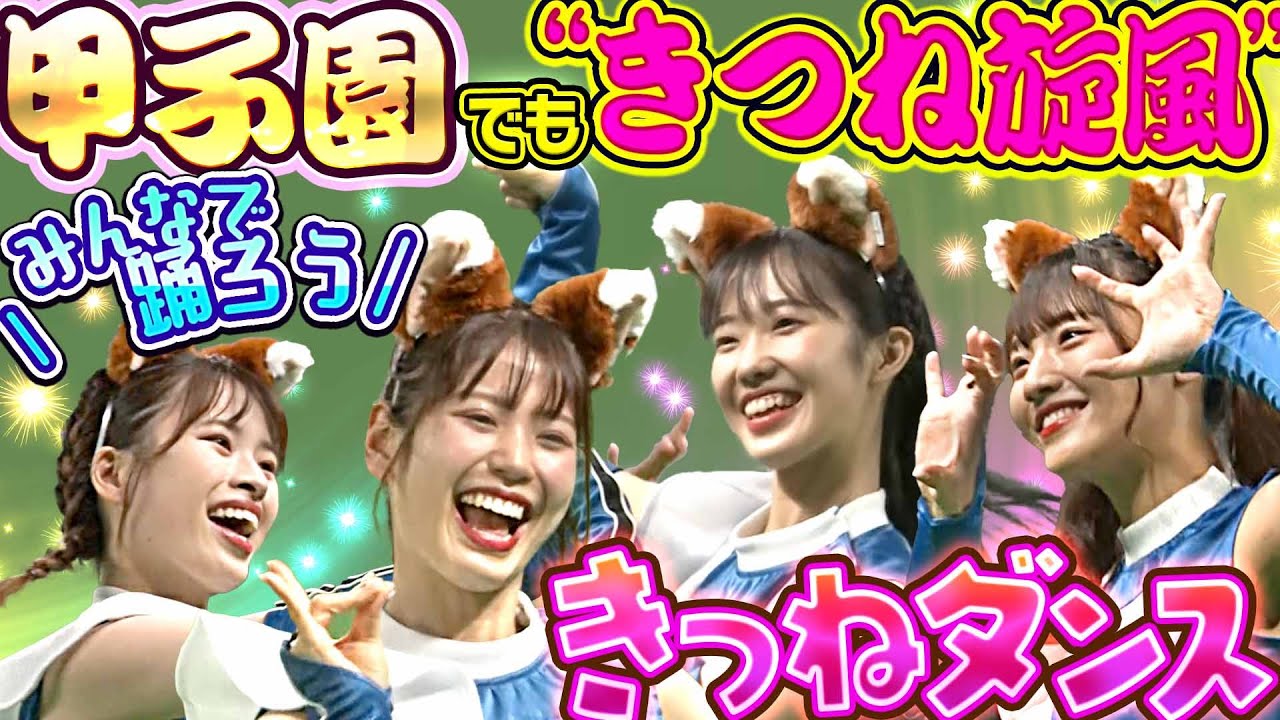 【甲子園でも旋風】あっ “パテレ行きタオル“ だ！『きつねダンス…感謝のフルパワー編集』