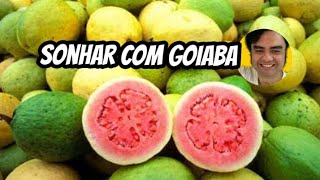 Sonhar com goiaba