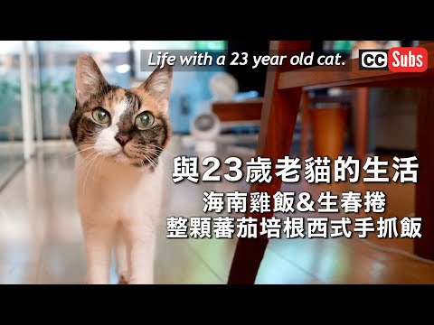 , title : '【與23歲老貓的生活】海南雞飯和生春捲 / 整顆蕃茄西式手抓飯 / 愛貓Mako / 台灣生活Vlog'