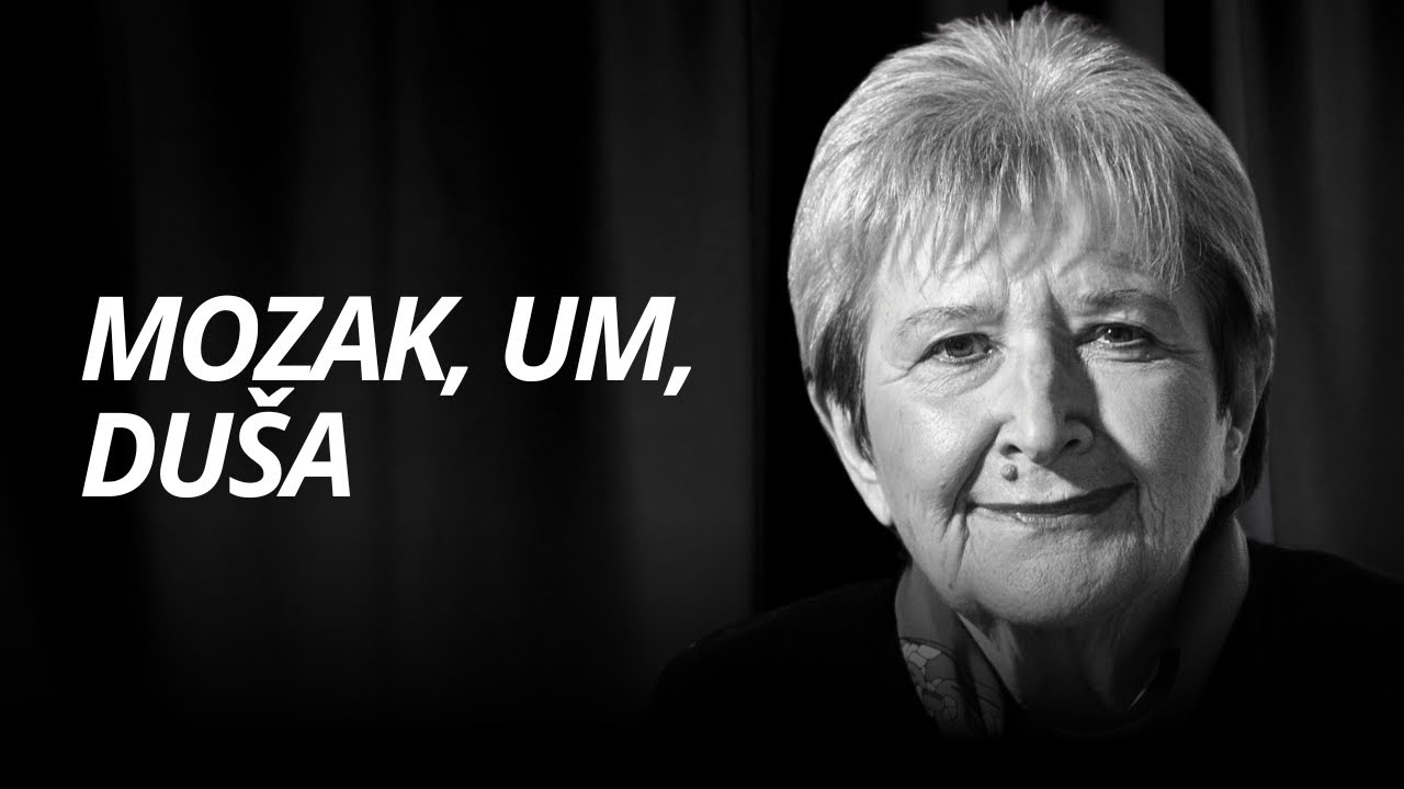 Mozak, Um, Duša: Vida Demarin x LOOD