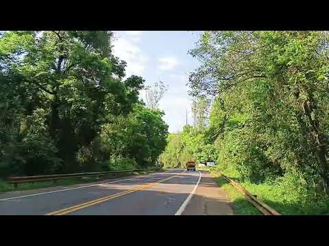 Puente arroyo Piray Mini entre Colonia Victoria y Eldorado Misiones Argentina 