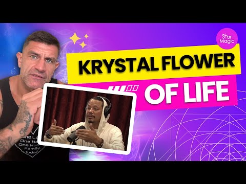 Terrence Howard and Joe Rogan, Spirals, Geometry and Magic