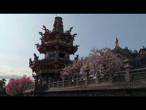 video 20220320 080608