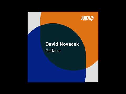 DAVID NOVACEK- Guitarra (Original Mix)