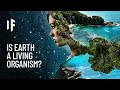 What If the Earth Was One Living Organism?