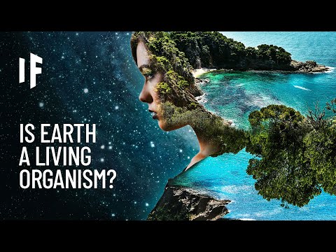 What If the Earth Was One Living Organism?