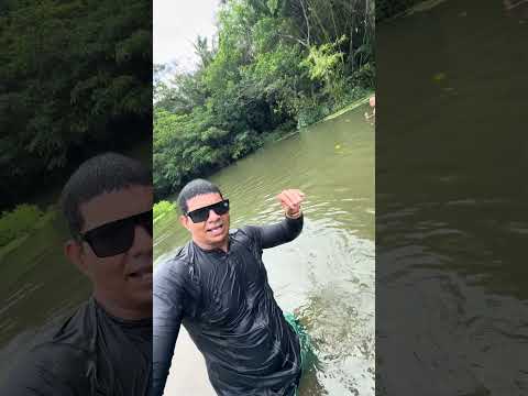 FUI CONHECER O BANHO DO AÇAÍ EM BOCA DA MATA ALAGOAS