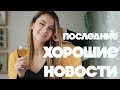 Подвох в Фантастических тварях! Полунин, Навальный и ХОРОШИЕ НОВОСТИ! Подвох в Фантастических тварях! Полунин, Навальный и ХОРОШИЕ НОВОСТИ!