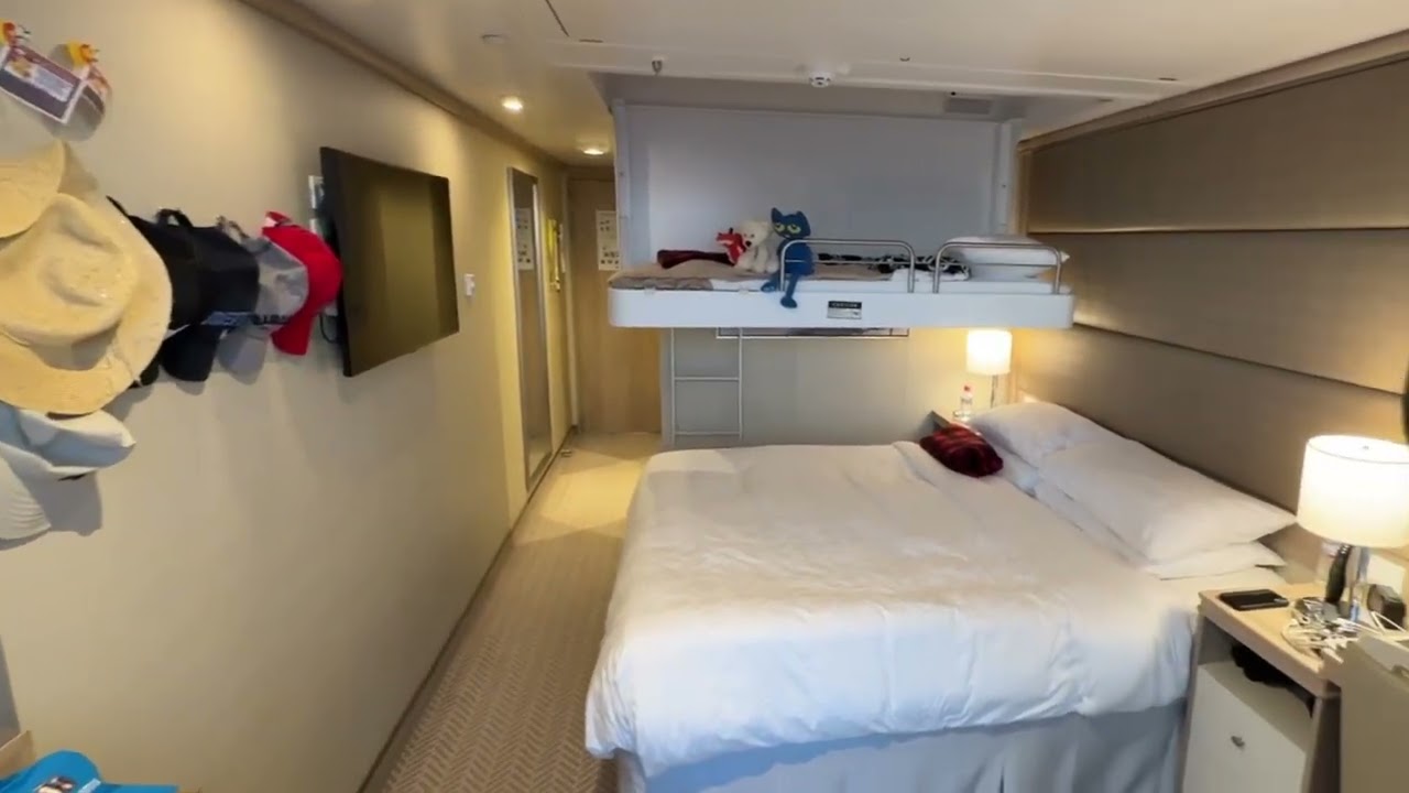 Discovery Princess - Cabin A241 - Video 1