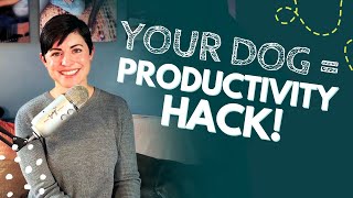 The Science of How Dog Enrichment Improves YOUR Life | Ep. 10