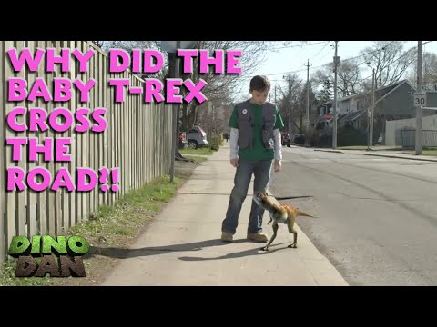 Why did the baby T-Rex cross the road?! | Best of Dino Dan Trek's Adventures