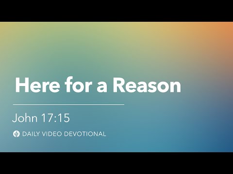 Here for a Reason | John 17:15 | Our Daily Bread Video Devotional