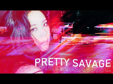 [2人 COVER] BLACKPINK(블랙핑크) - PRETTY SAVAGE