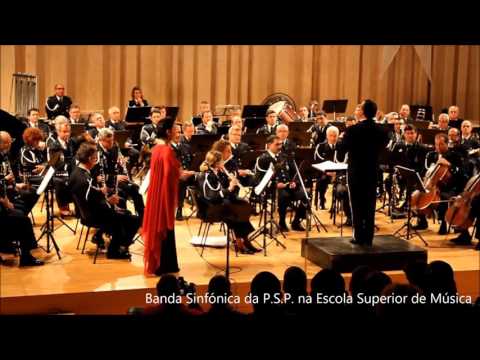 O Amor A Portugal - Ana Laíns