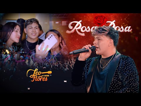 Rosa Rosa - Leo Flores