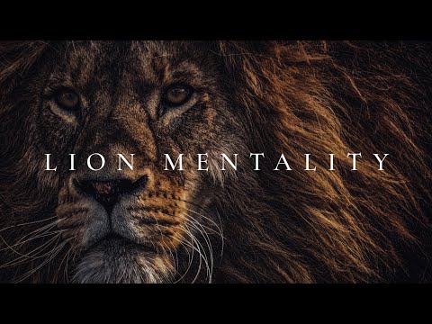 LION MENTALITY 