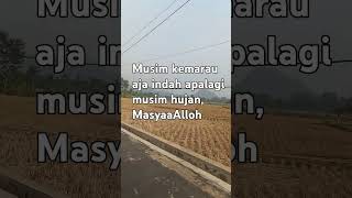 Download lagu Even the dry season is beautiful, let alone the rainy season #education #inspiration #education#d... mp3