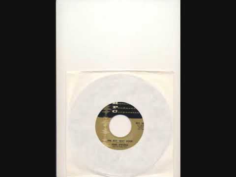 Terri Stevens - The boy next door