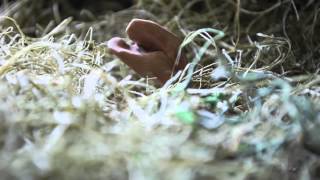 Landlady &quot;Under The Yard&quot; (Official Video)